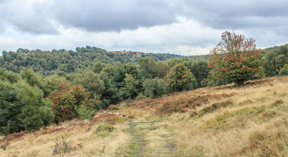 Hewetts Bank